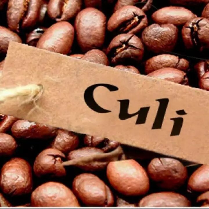 600g nhân cà phê culi nhân sống