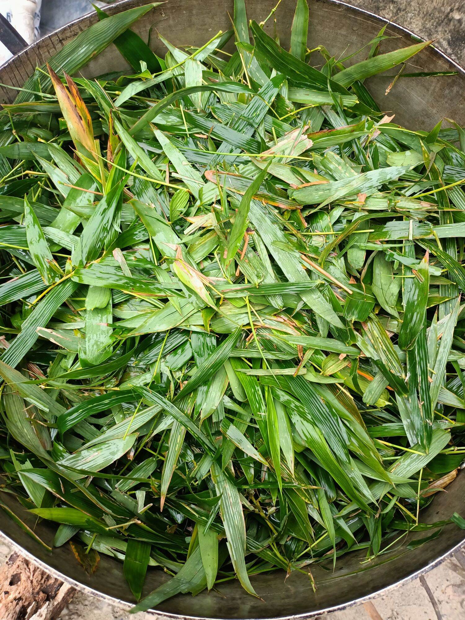 cao lá tre dứa