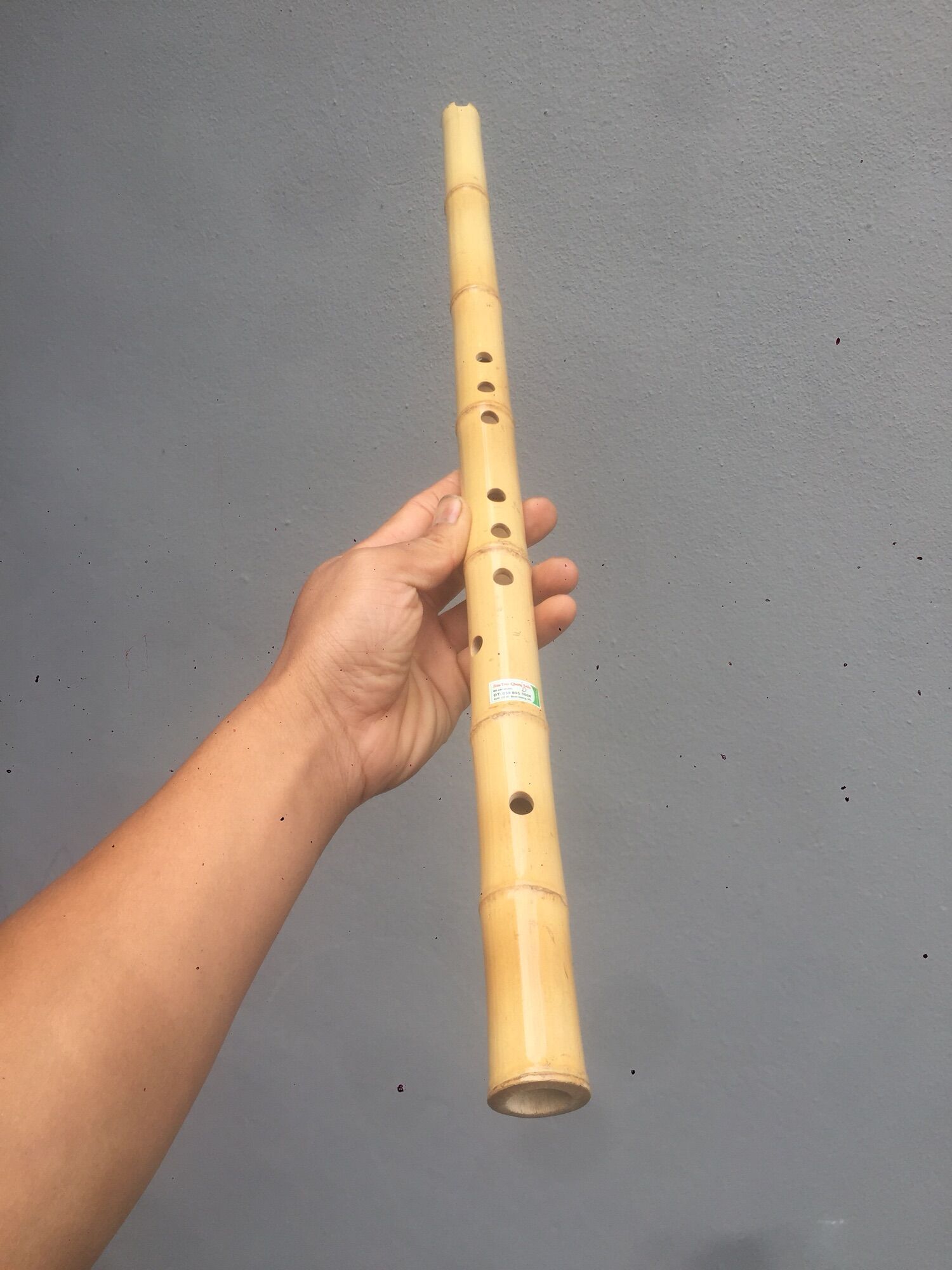 Sáo tiêu c4