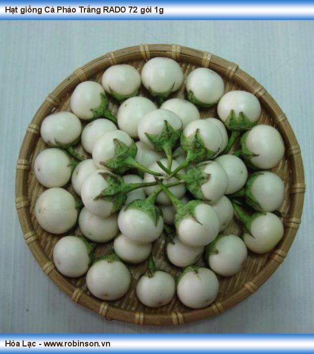 Hạt  cà  pháo trắng  F1 giống  chuẩn