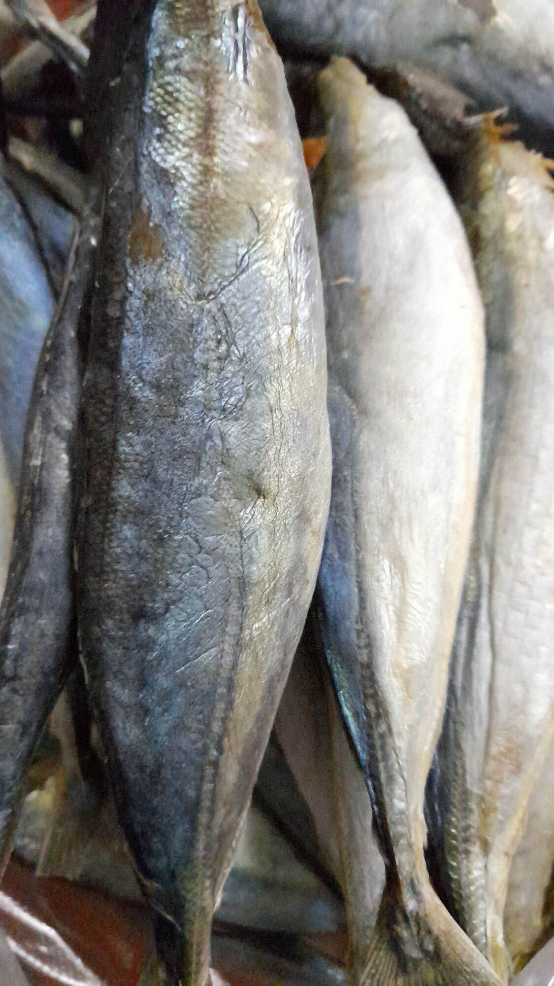 Khô cá nục 500gr