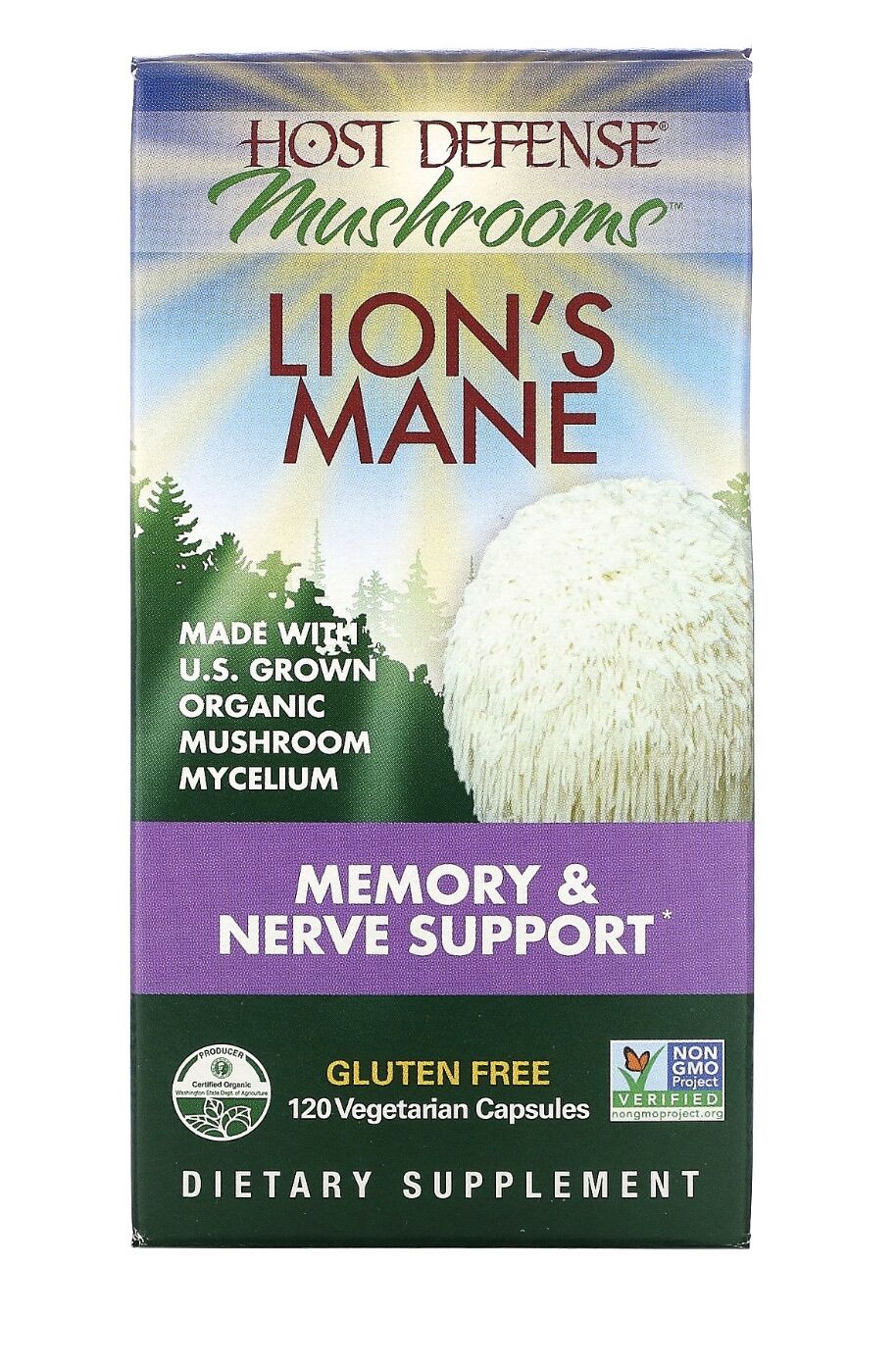 Nấm bờm sư tử / lion mane’s