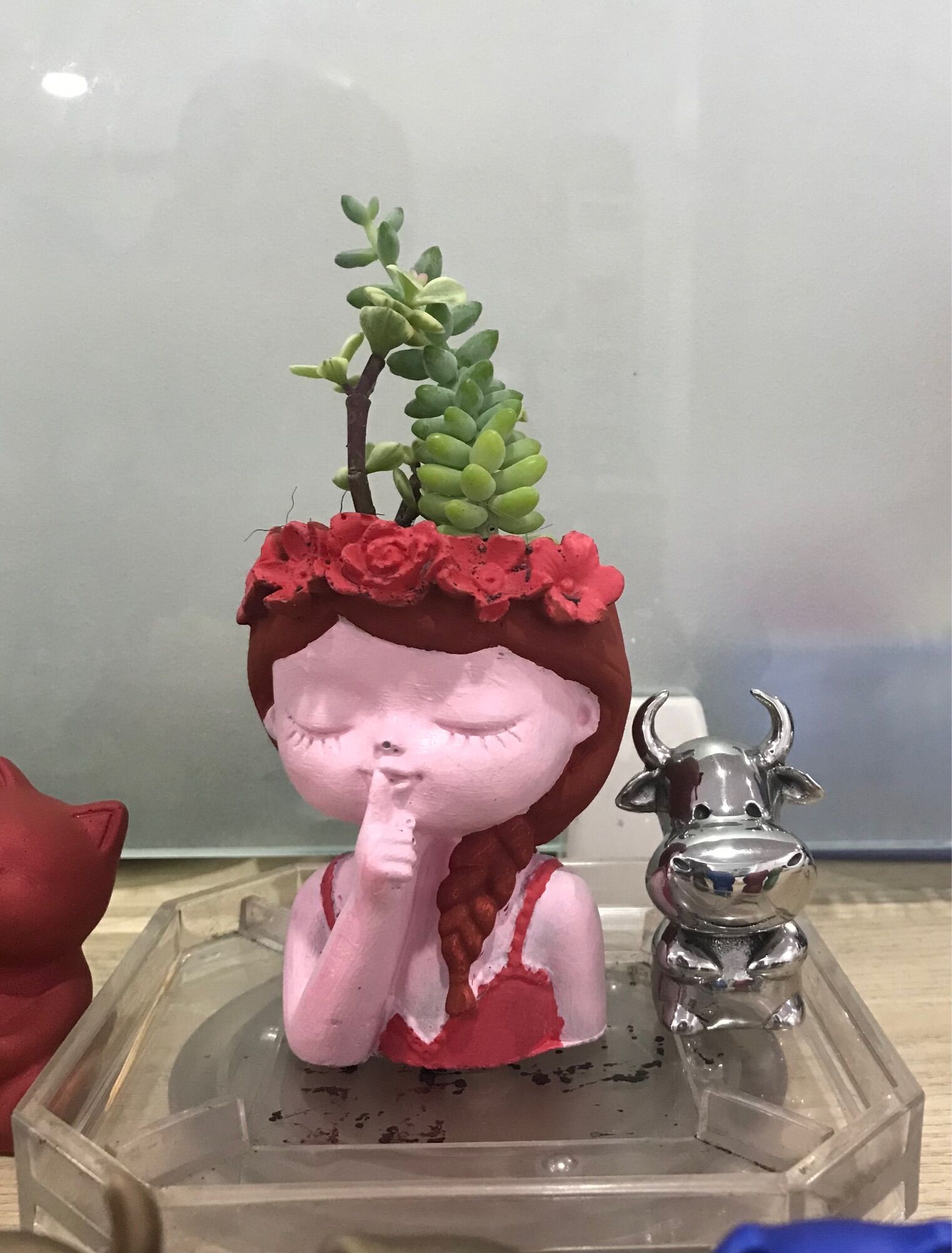 Chậu cây để bàn