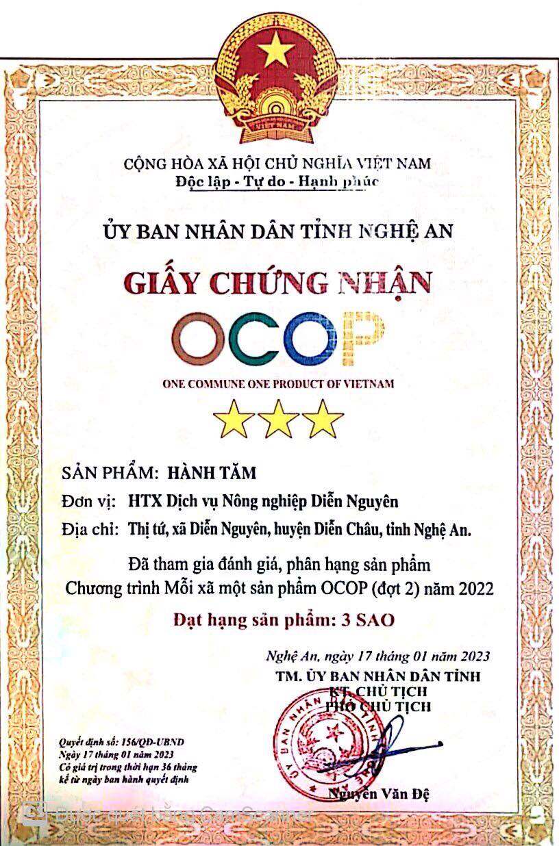 Hanh tăm ( củ nén) quê nghệ an 0.5kg