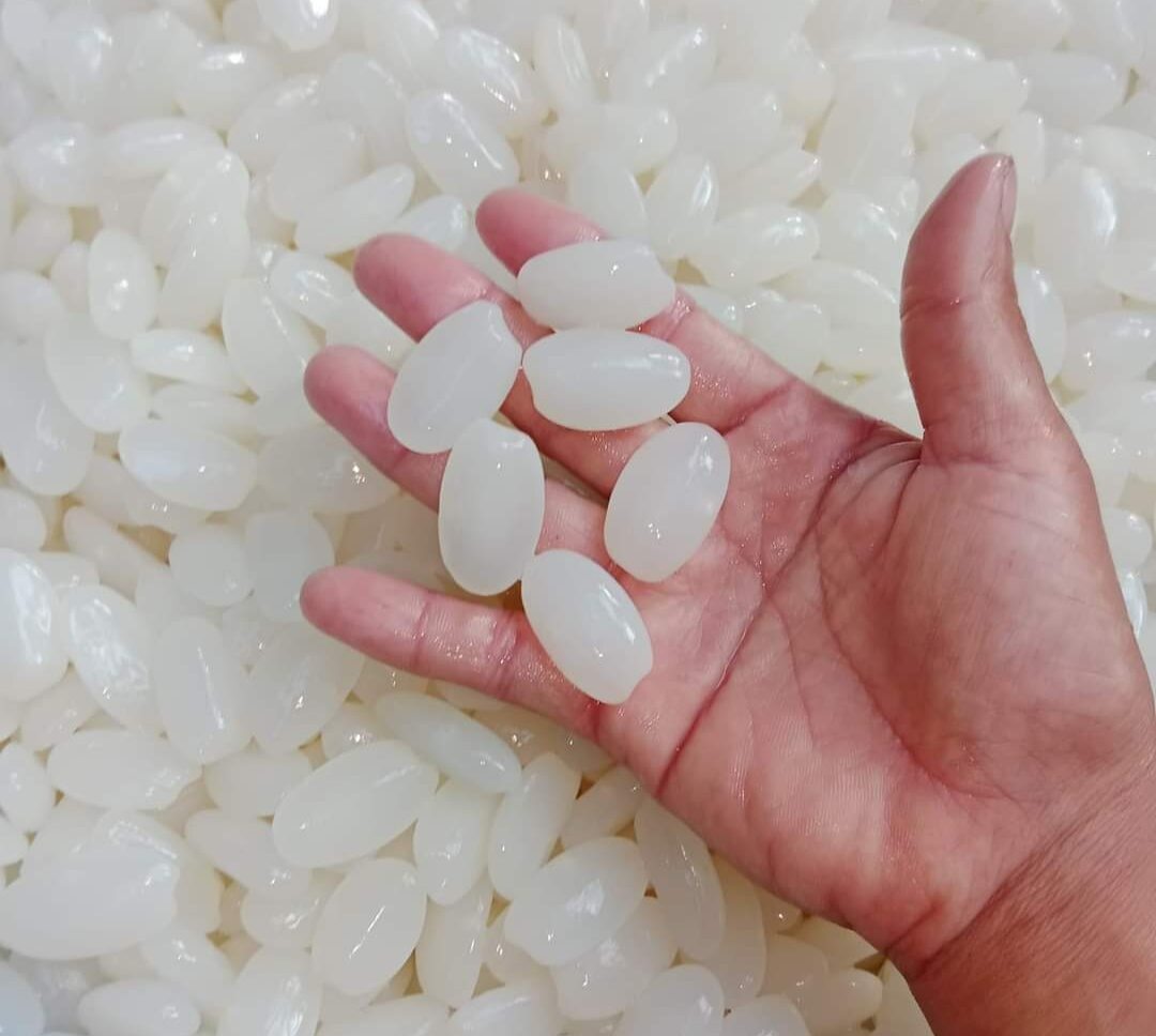 Hạt đác tươi size trung nhỏ lựa dẻo ngon 1 ký