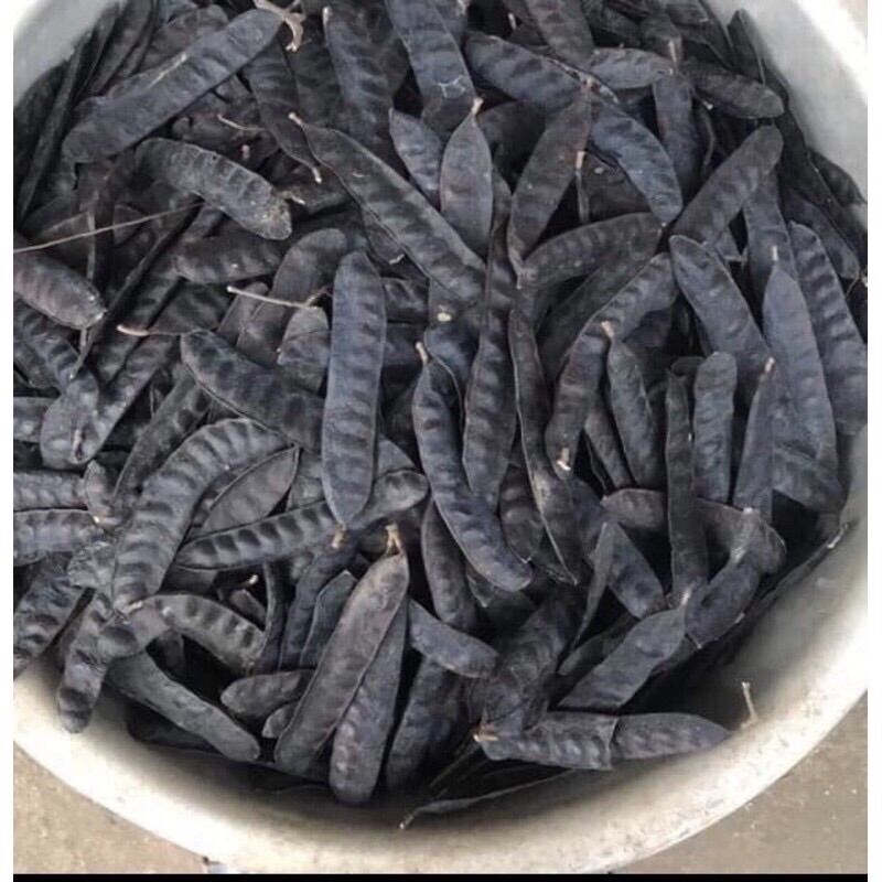 Trái bồ kết khô gói 100gr