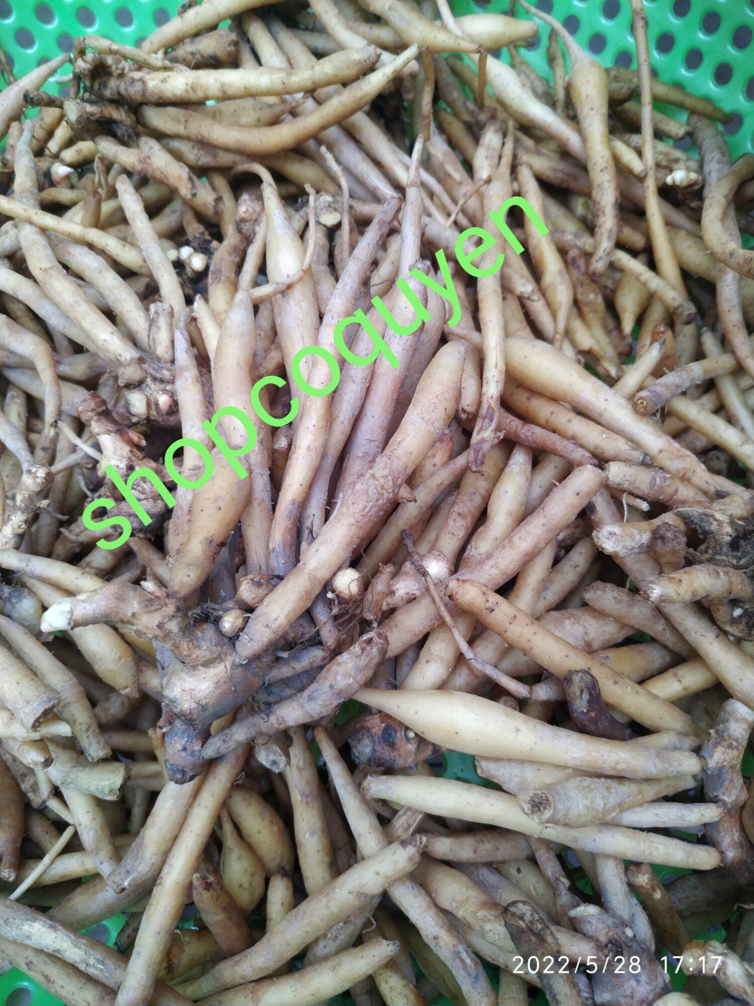 ngải bún 500g