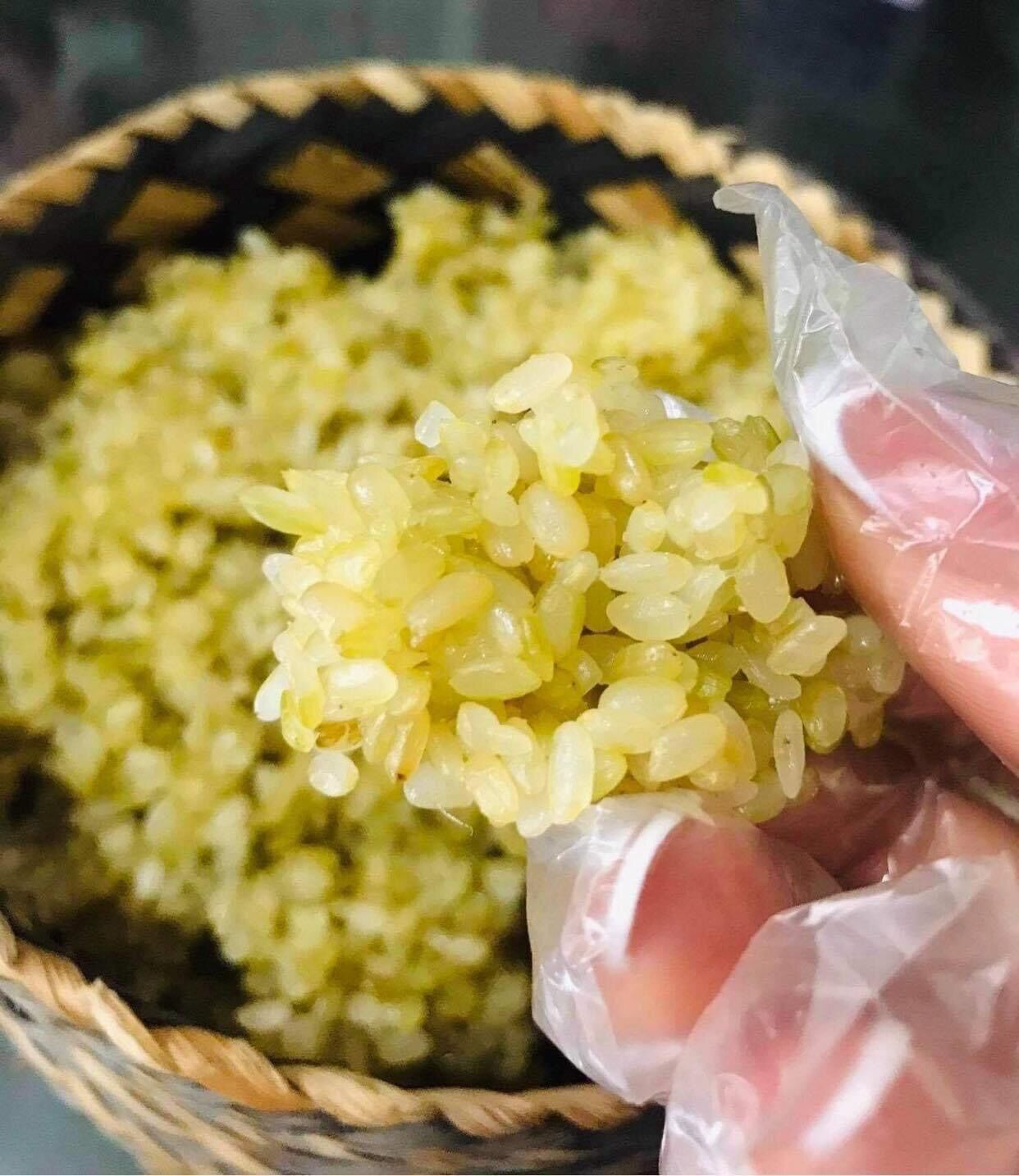 Khẩu Hang ( Gạo nếp non) Đặc sản Tây Bắc 49k/kg