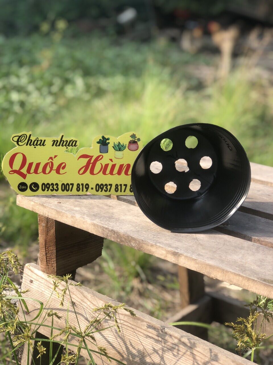 Combo 10 chậu C9 thương hiệu Quốc Hùng