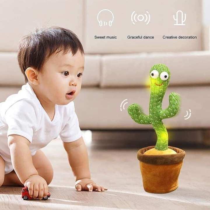 Cây xương rồng nhảy múa