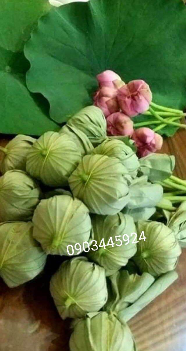 Chè Ướp Bông Sen Tây Hồ