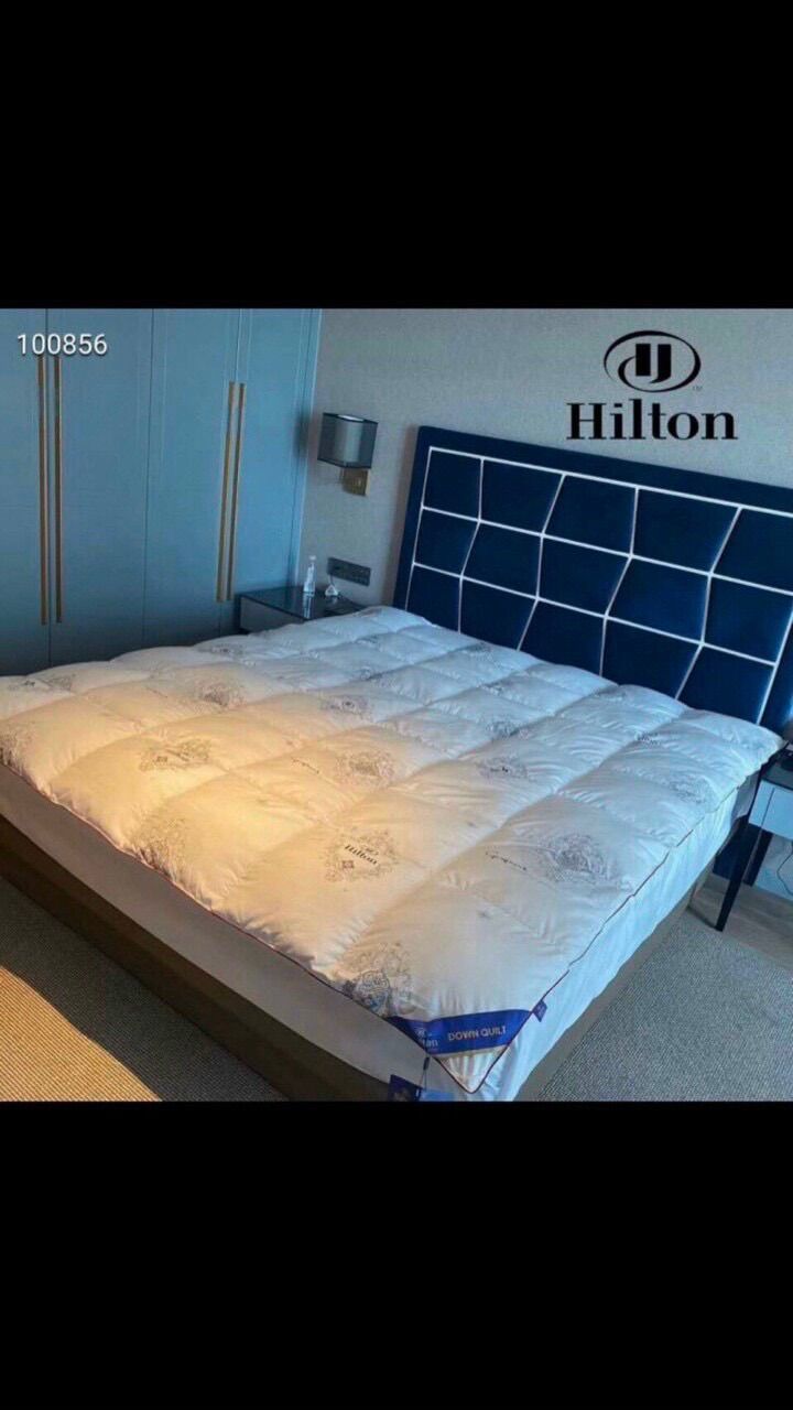 Ruột chăn đông cao cấp hitton 2mx2m3