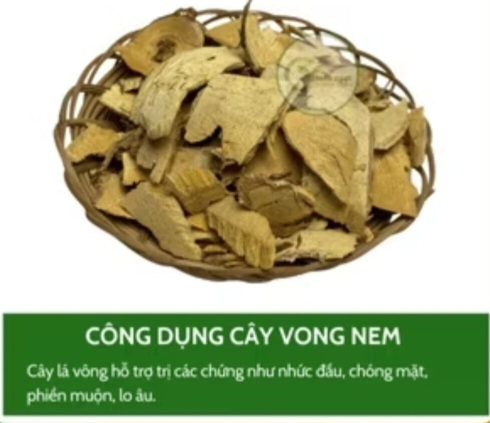 1Kg CÂY VÔNG NÊM khô, loại 1_ DLHC