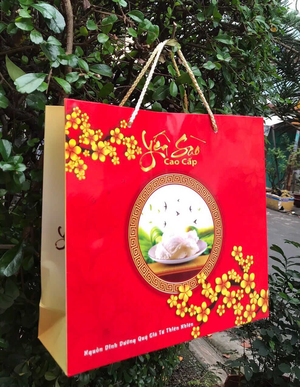 TÚI GIẤY ĐỰNG YẾN SÀO 100 gr(KHÔNG ÉP KIM )