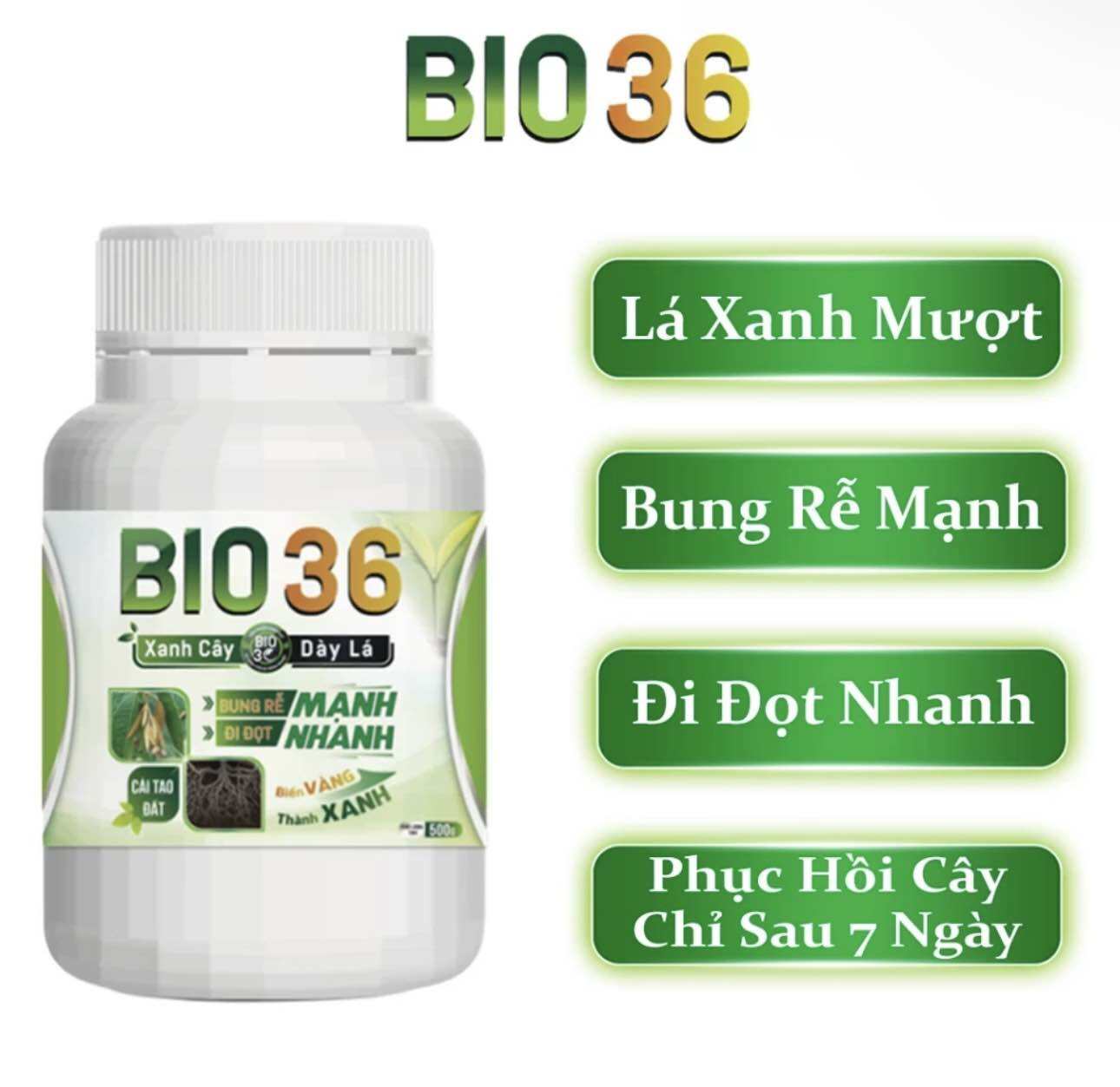 [CHÍNH HÃNG ] BIO 36 Siêu Kích Rễ Đi Đọt Nhanh, Xanh Cây, Dày lá ( 500g )