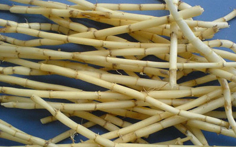 Rễ cỏ tranh hữu cơ 500g