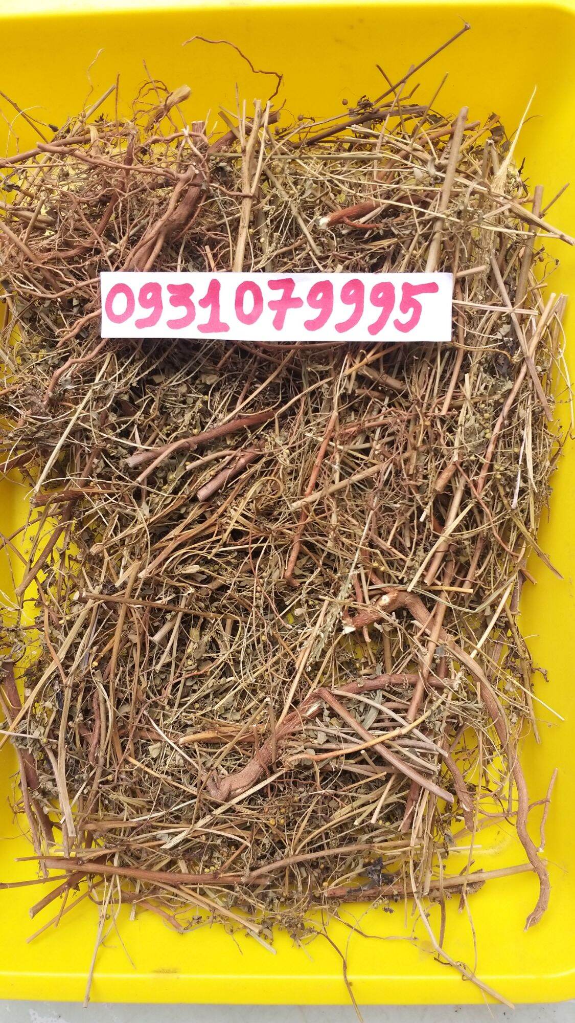 cây chó đẻ - diệp hạ châu phơi khô 1kg