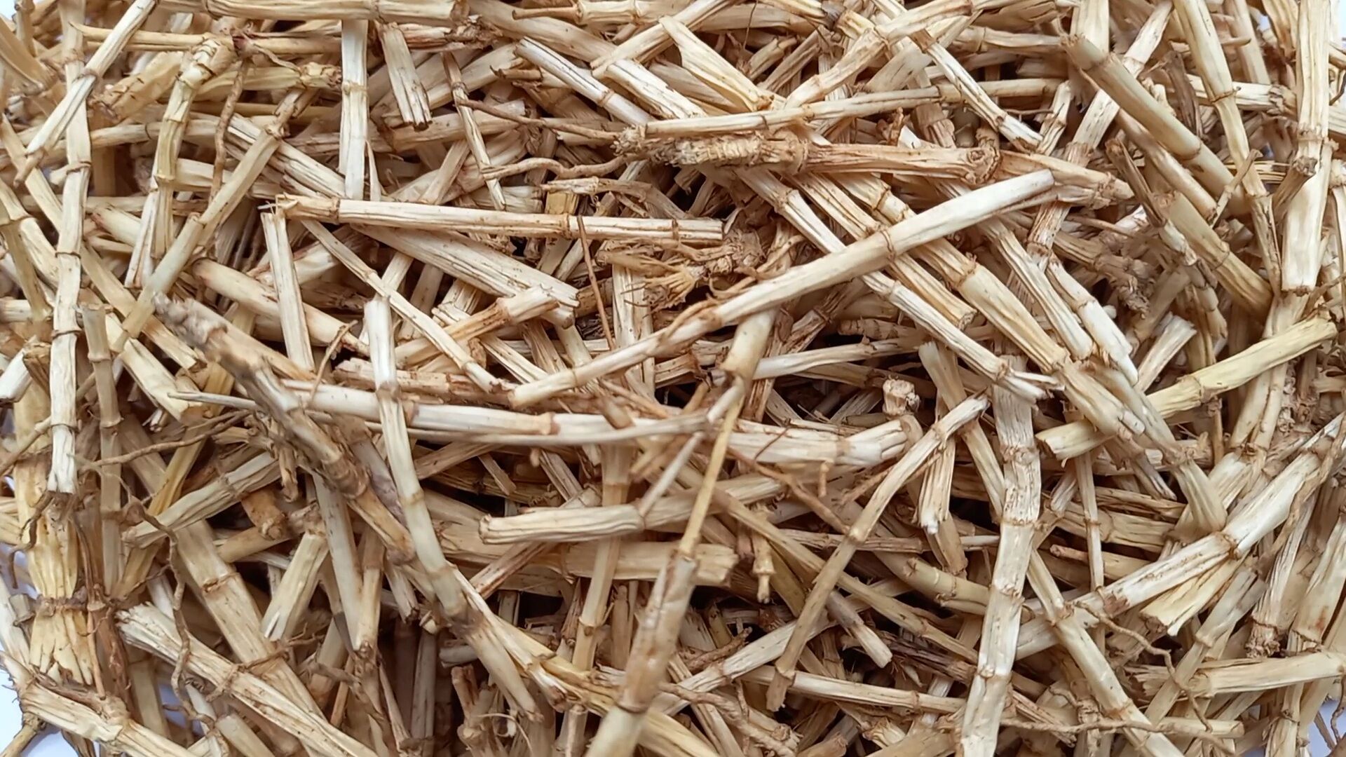 Rễ cỏ tranh khô 100g - Thiện Nhi Organic Store