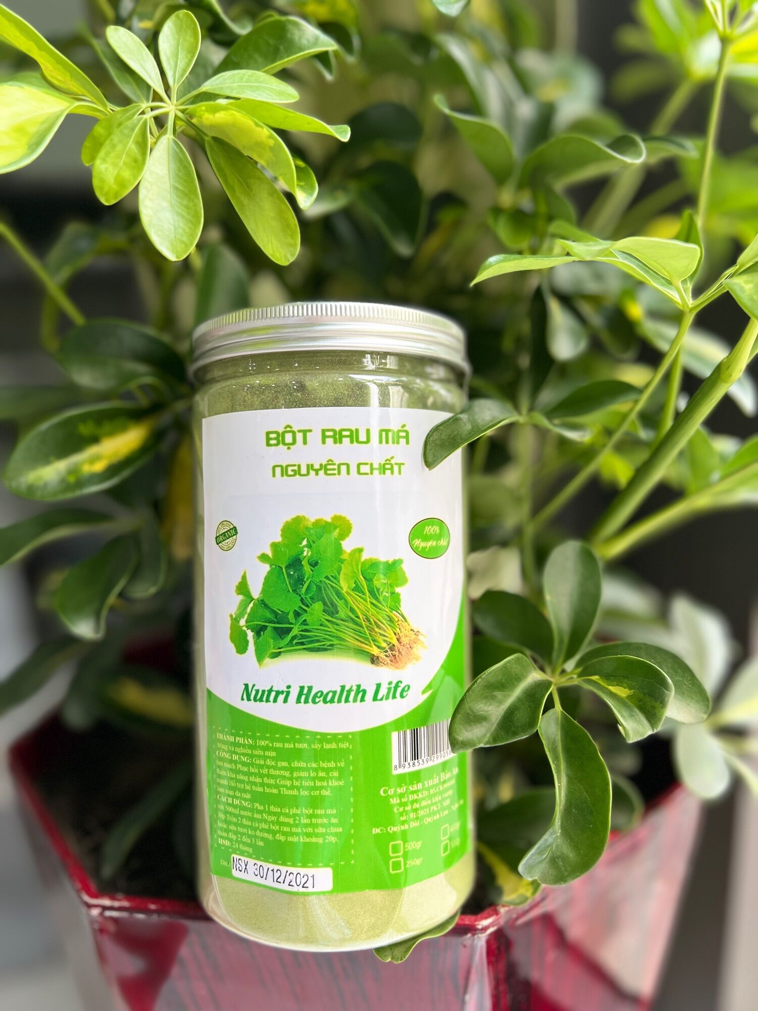 Bột rau má sấy lạnh nguyên chất 500gr