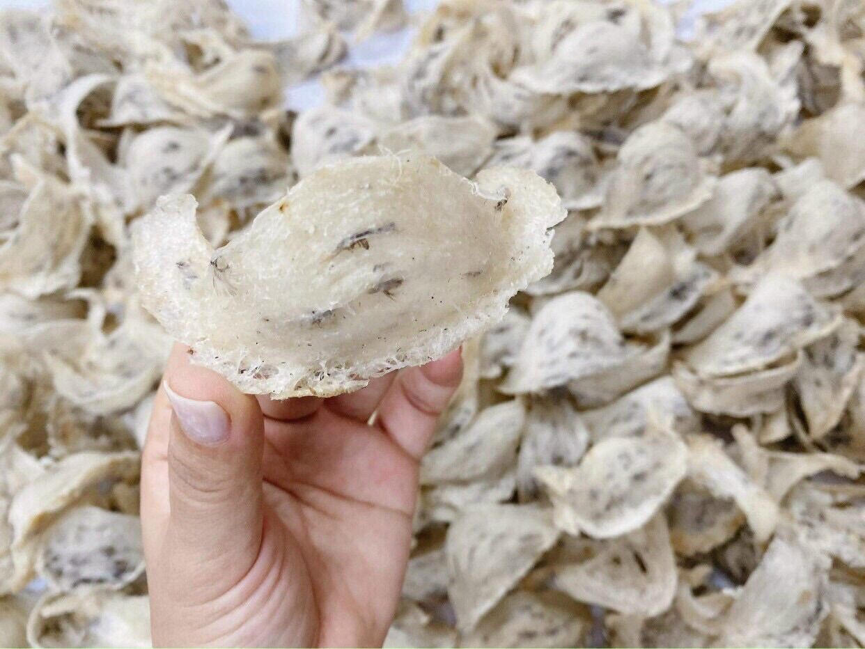 50gram tổ yến thô nguyên chất 100% - tổ yến nhà nuôi long an shop tặng nhíp nhặt lông táo đỏ đường phèn và hạt chia
