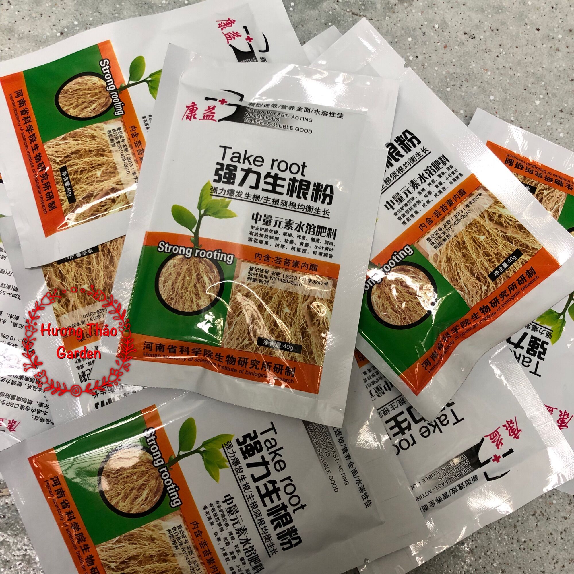 Siêu Kích Rễ Take  Root Gói 40gr