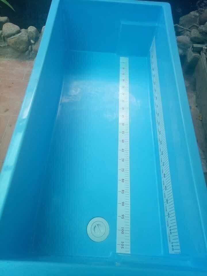 Thước Decal dán hồ - tank đo cá chất liệu chịu nước
