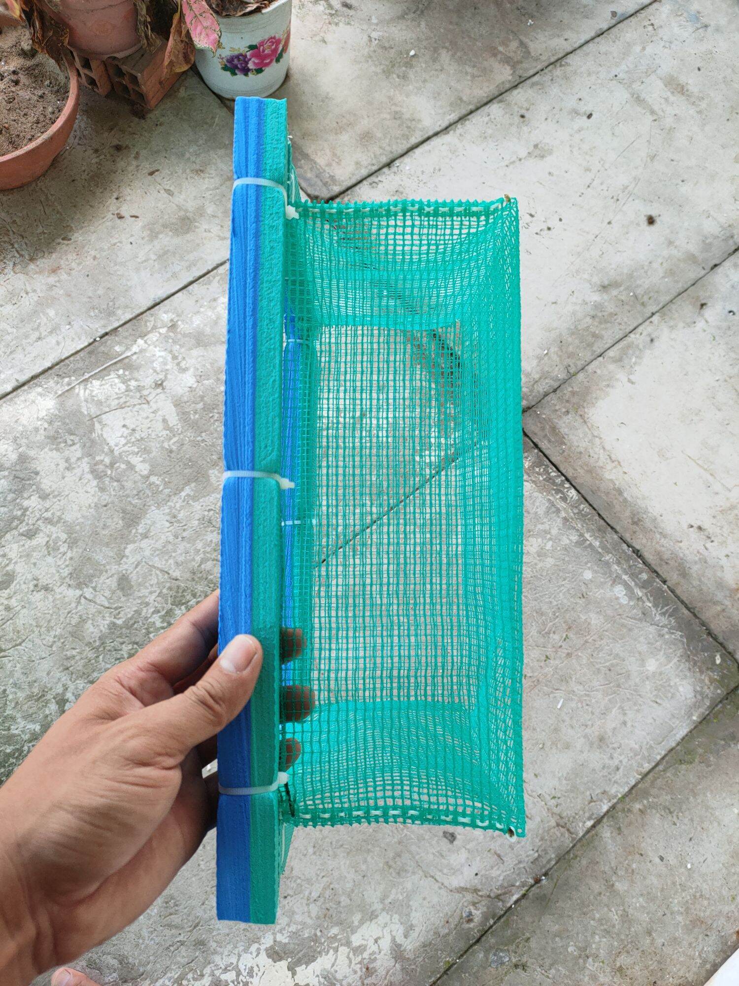 Lồng đẻ guppy, lồng dưỡng cá