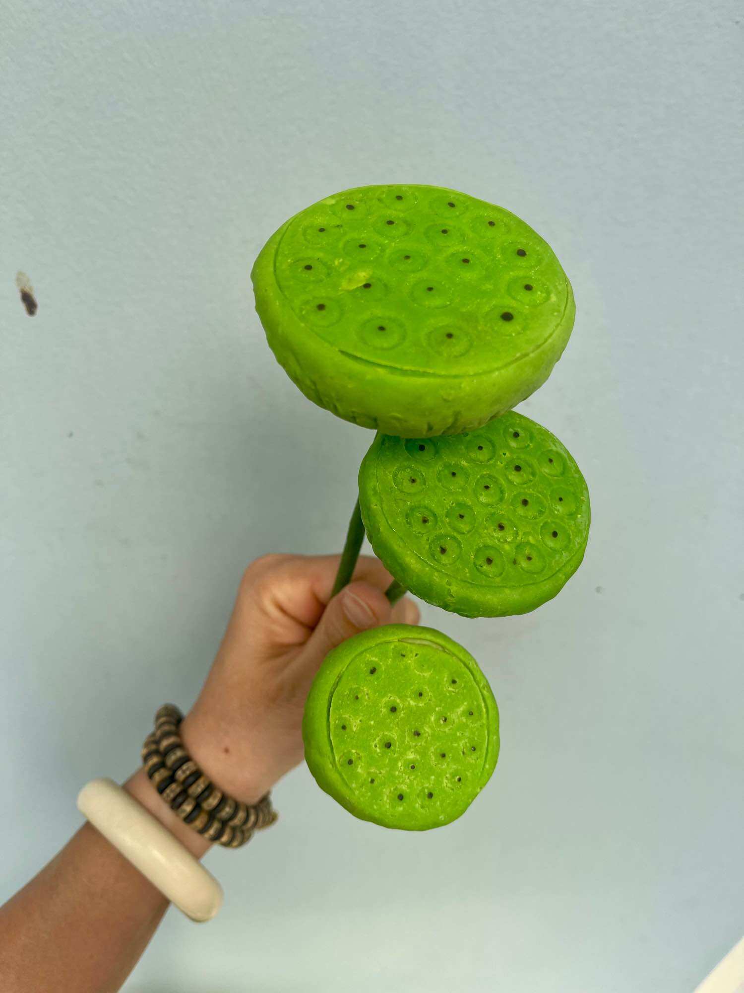 Gương sen đất sét 3 size ( đơn giá 1 cái)