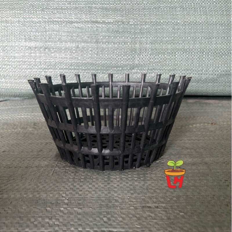 Chậu nhựa trồng lan, chậu giả gỗ - lan que, có nan phụ
