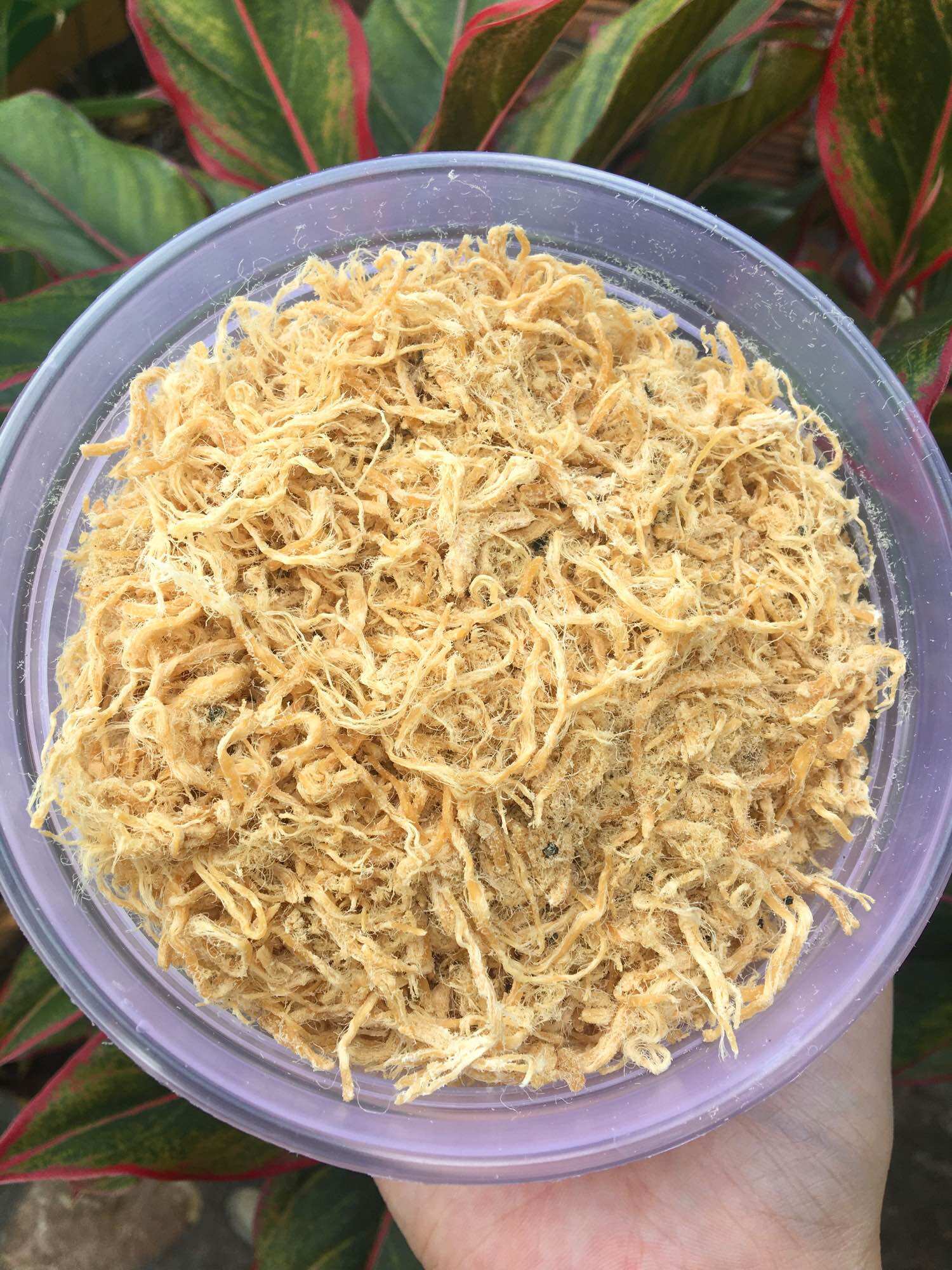 100gr Chà bông gà