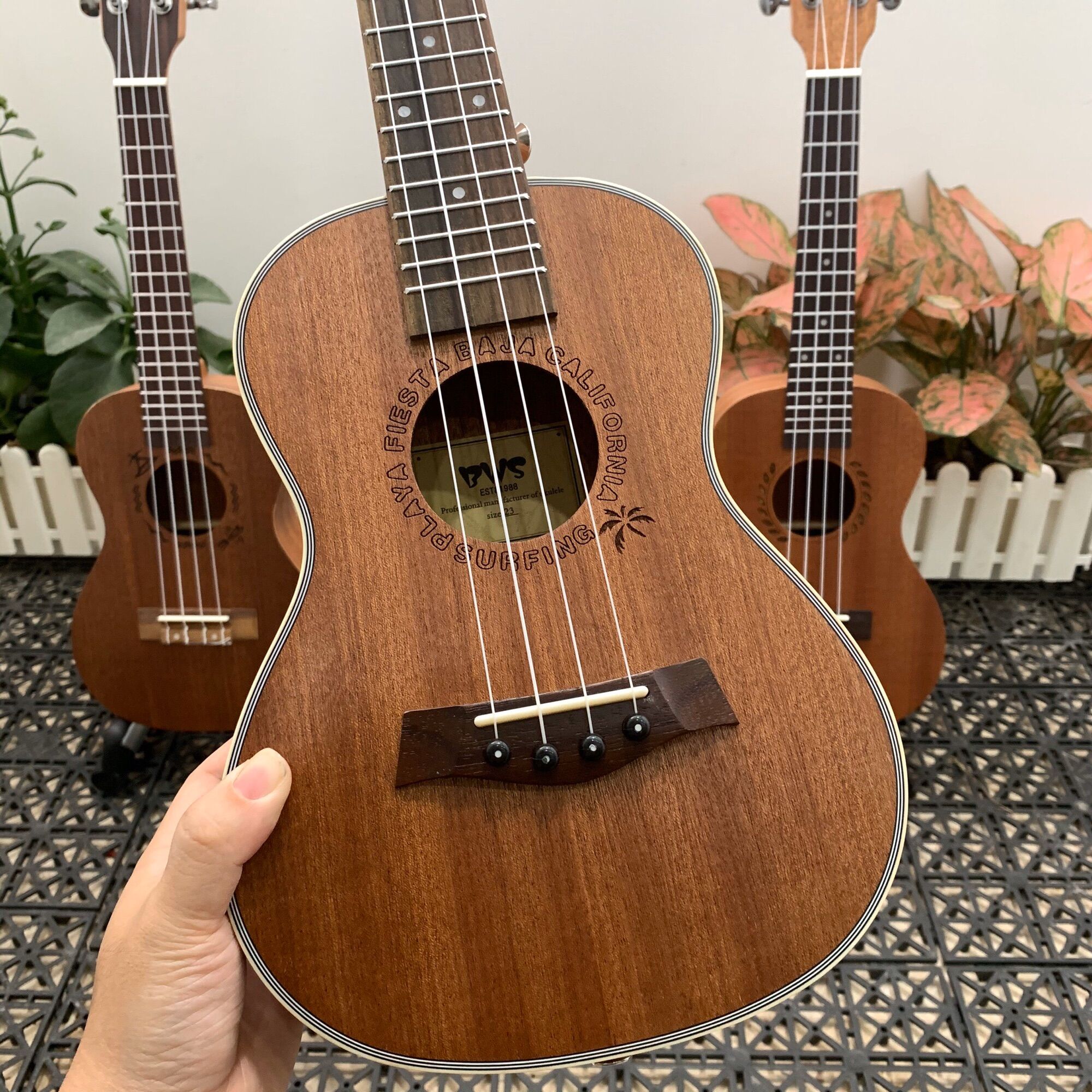 (RẺ VÔ ĐỊCH) ĐÀN UKULELE CONCERT BWS KẺ VIỀN