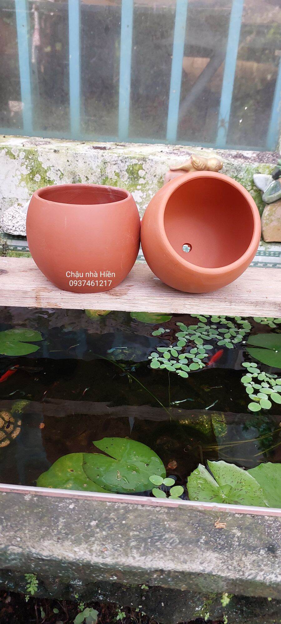 Chậu đất nung Bình Dương hình thố nhỏ m9 x c9