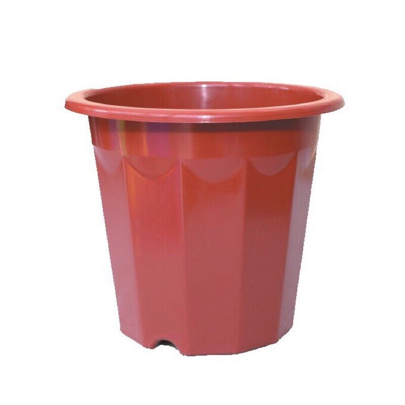 Chậu nhựa trồng cây E280 trồng cây hoa cây cảnh trồng rau hàng đẹp loại 1