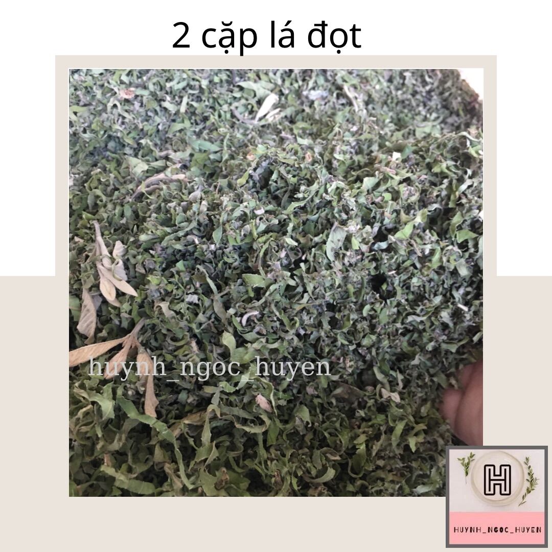 500gr đọt ổi khô (2 cặp lá đọt)