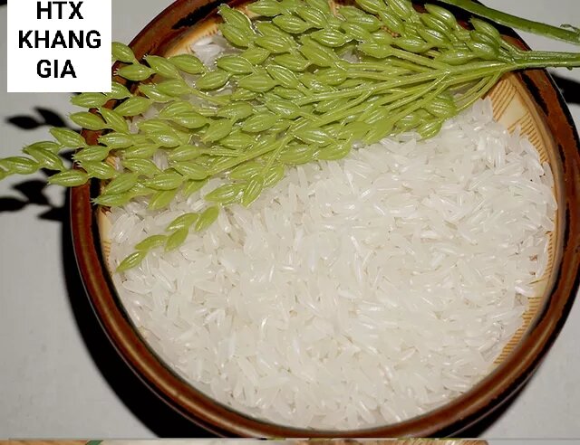 Hạt giống lúa Tám thơm Điện Biên túi 1kg