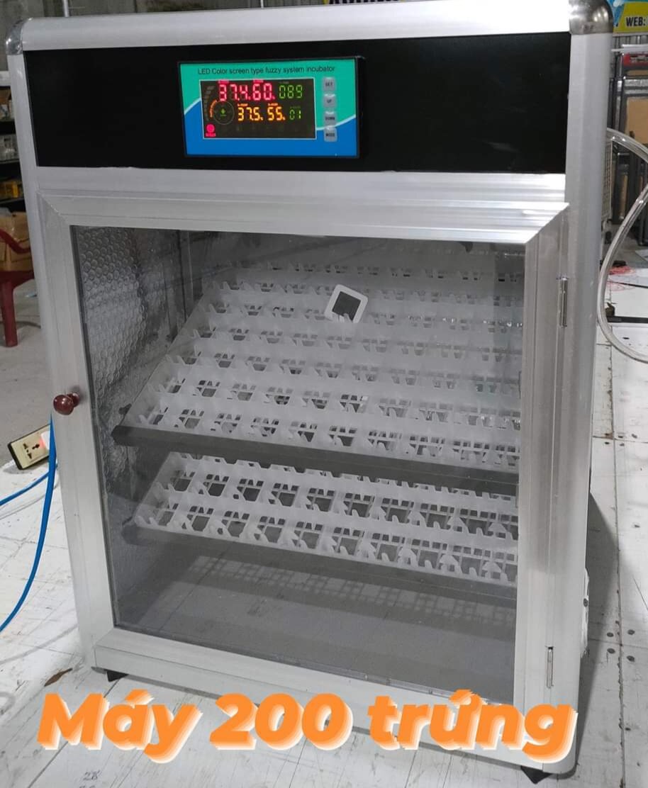 máy ấp trứng| máy 200 trứng Tự Động
