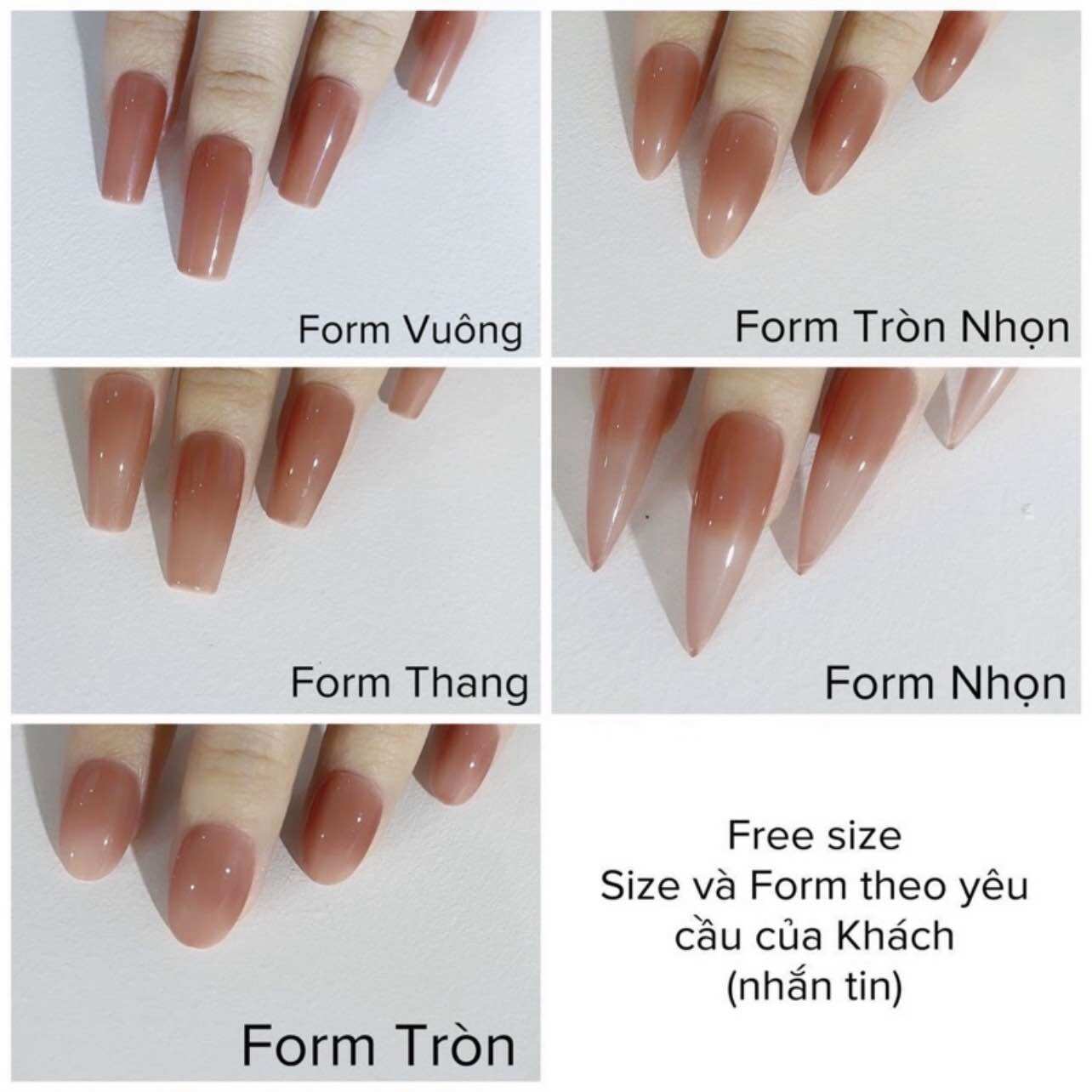 Nailbox [398] - Móng giả vẽ gấu nổi và cherry siêu cưng