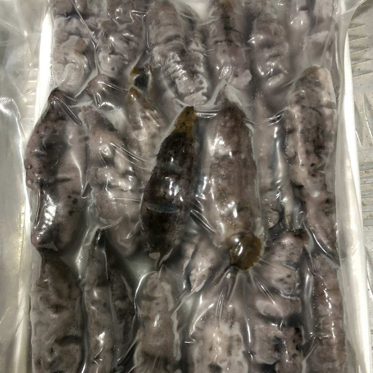 [500g] Hải sâm gai, nhân sâm biển đã làm sạch