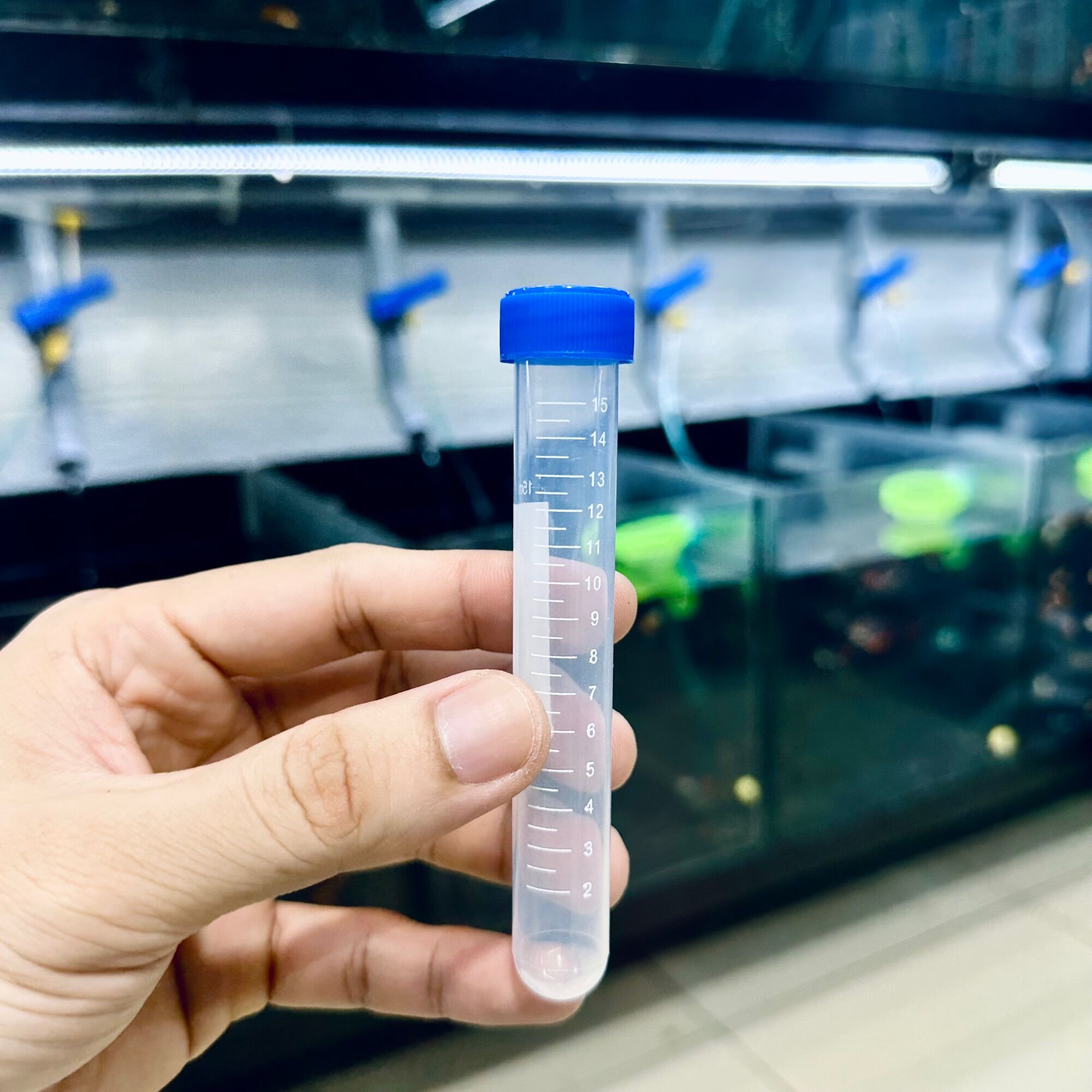 Ống trữ Artemia 15ml