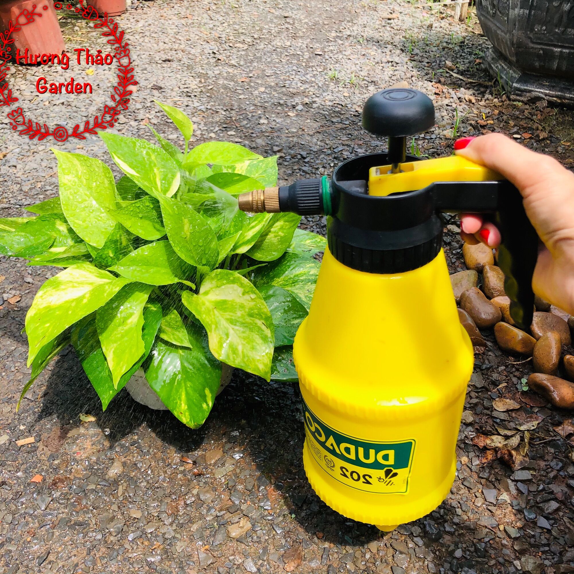 Bình Xịt Tưới Cây Phun Sương 1L5 Dudaco