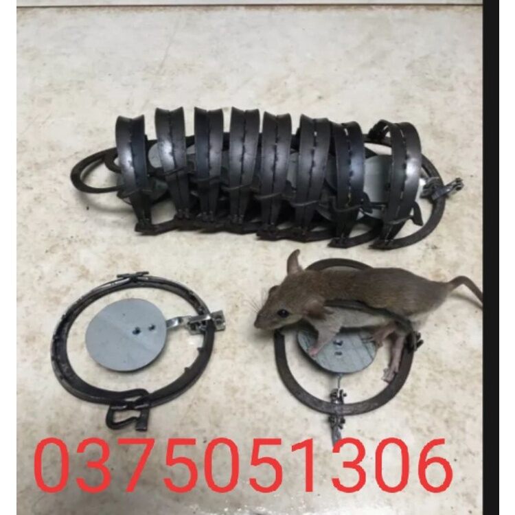 Tổng kho sỉ lẻ bẫy thú nhỏ , chuột,chồn ,sóc,nhím,cạm kiềng9cm