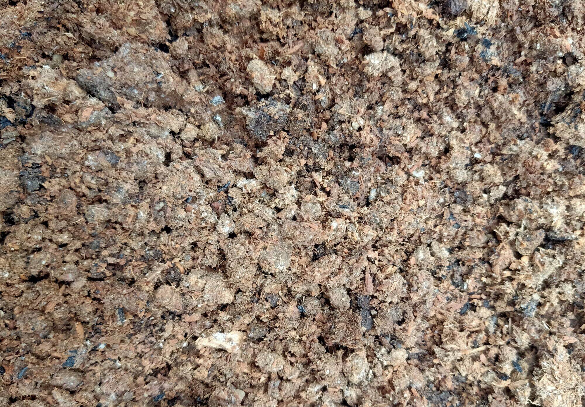 1kg phân gà được ủ hoai tự nhiên