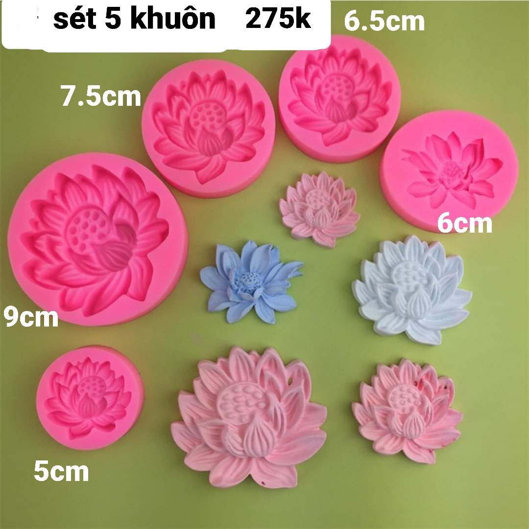 Sét 5 khuôn hoa sen silicon