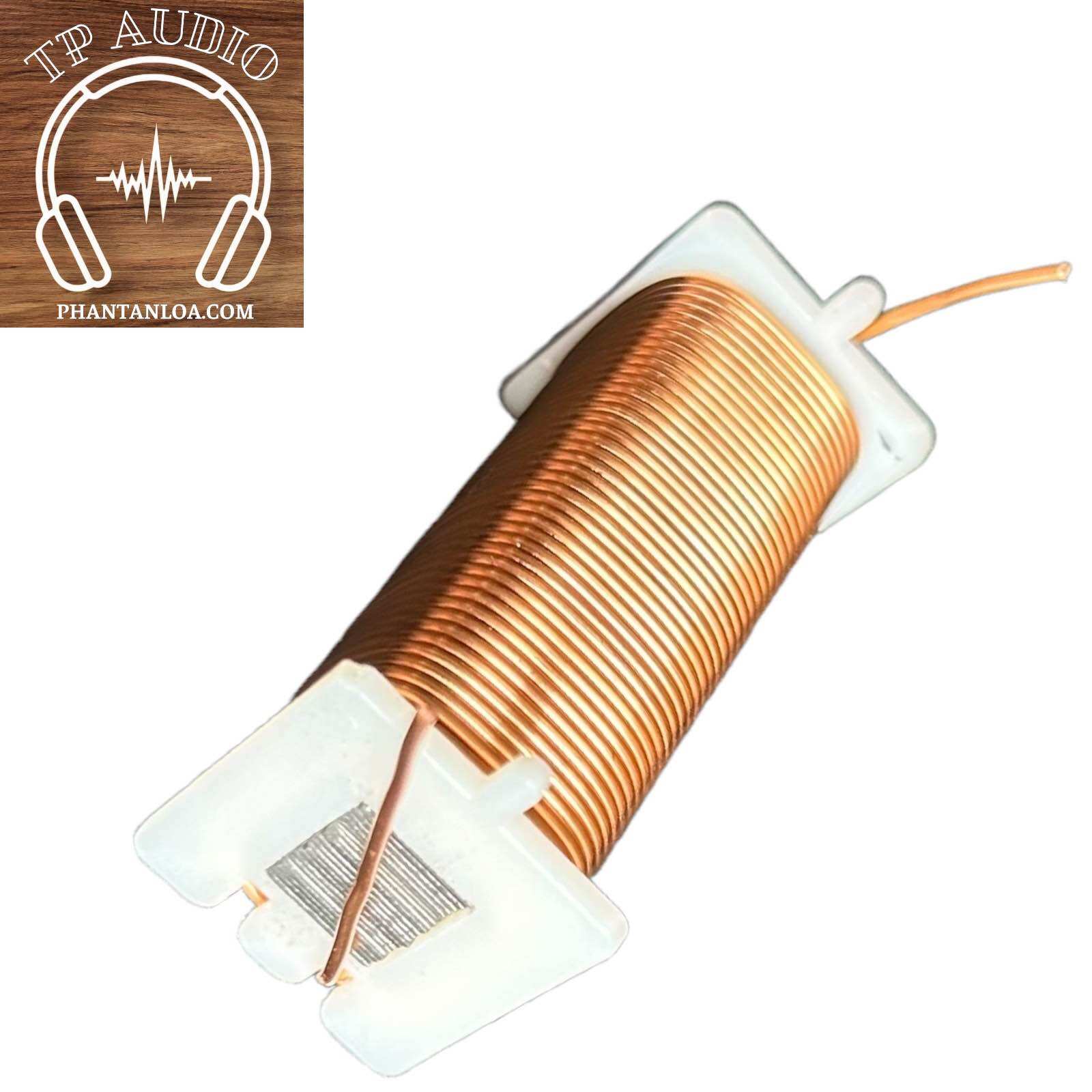 [HCM]Cuộn Cảm Phân Tần Nhỏ