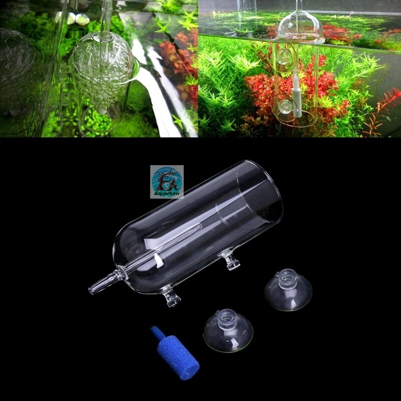 Cốc sủi oxy chống văng nước bể cá
