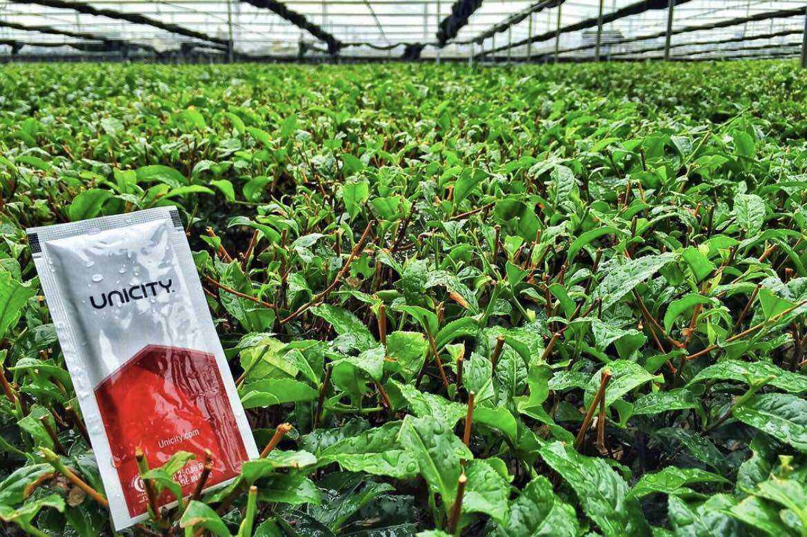 B.I.O.S.L.I.F.E E U.N.I