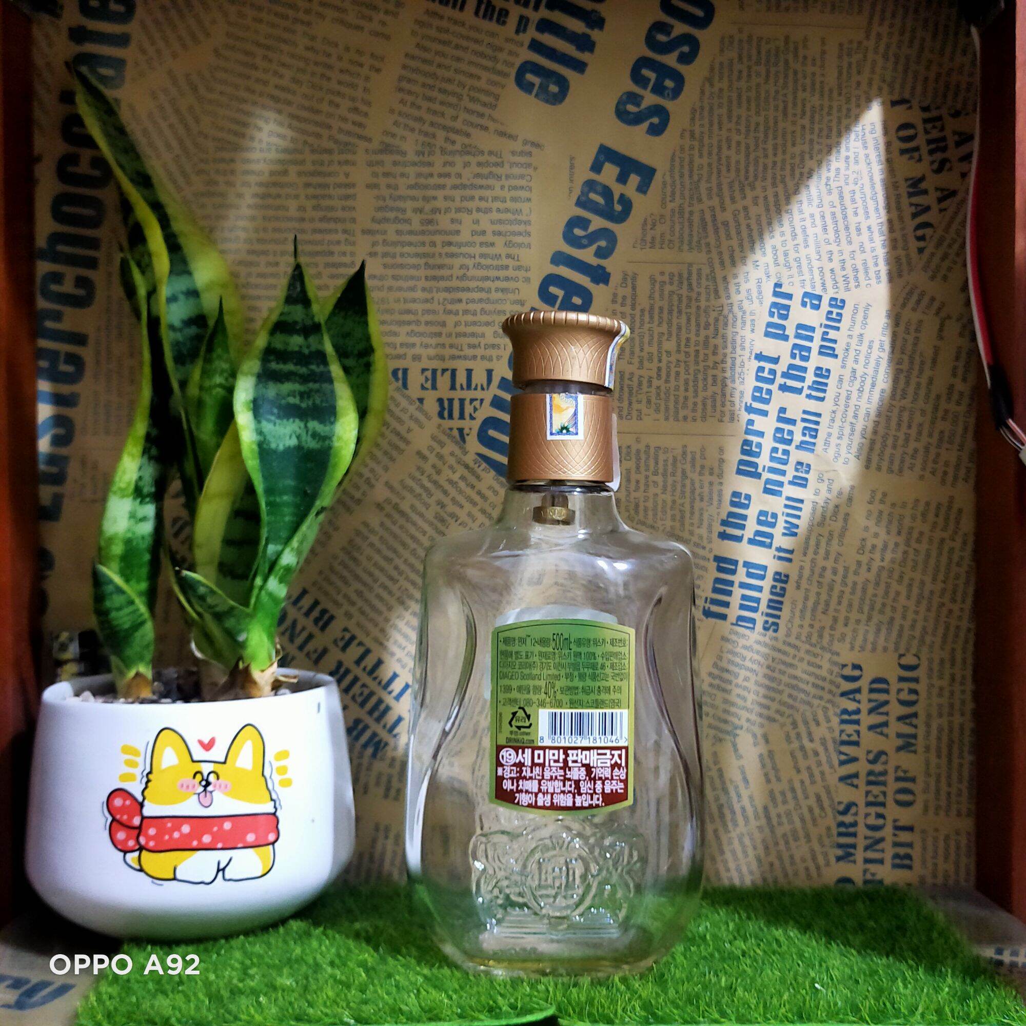 Vỏ CHAI rươu ngoại Windsor dáng thấp