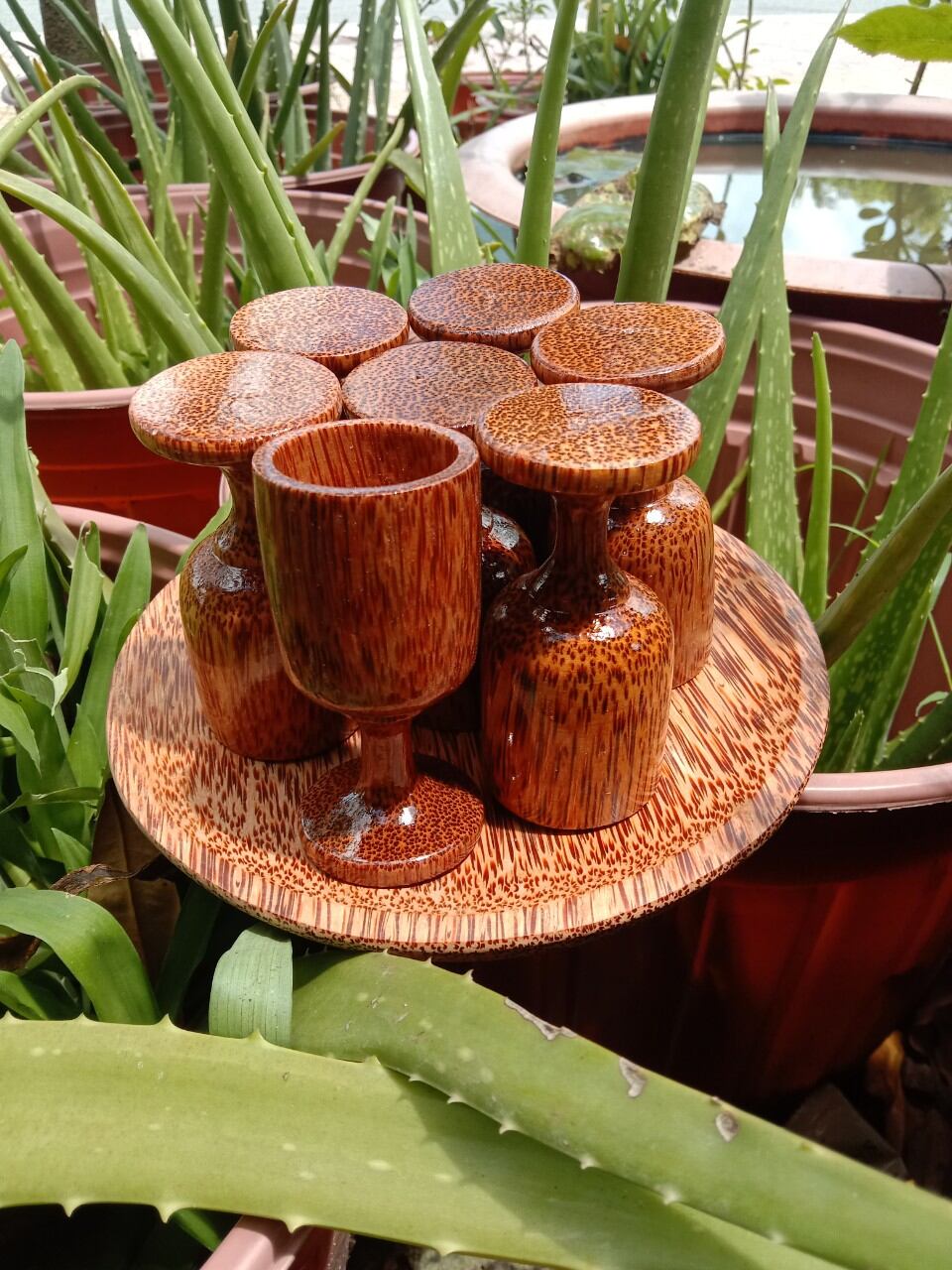 cốc uống trà bằng gỗ dừa 1 cốc