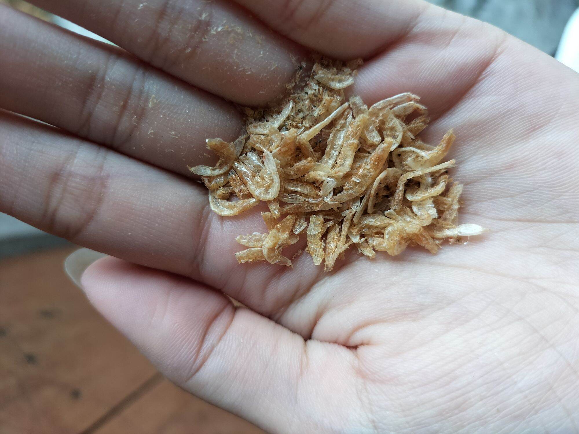 cám thức ăn cho rùa nước