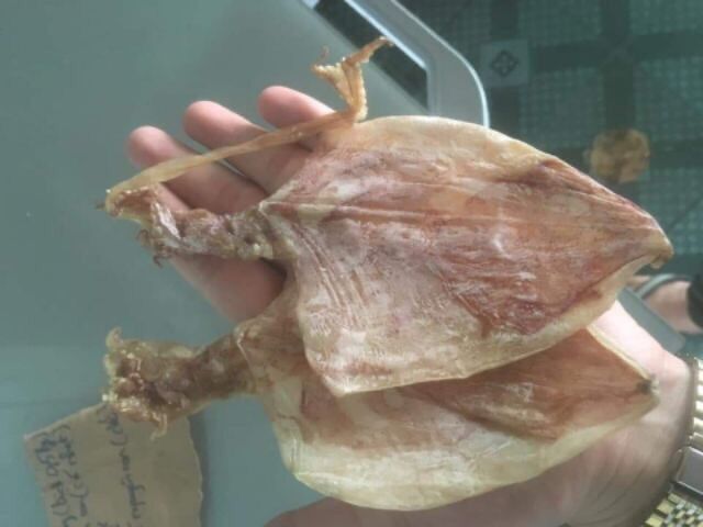 Siêu rẻ 500gram mực khô size nhỡ (khoảng 50 con)